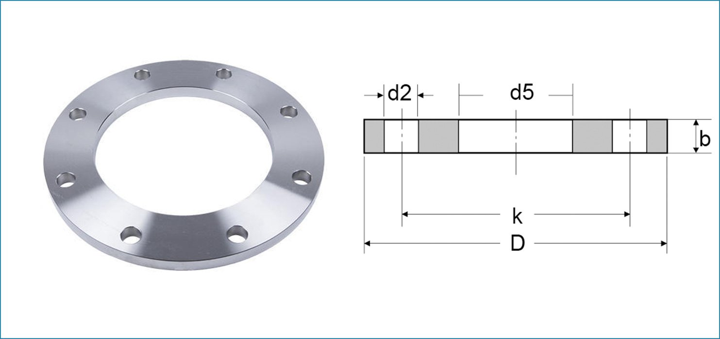 ASME B16.5 Plate Flanges
